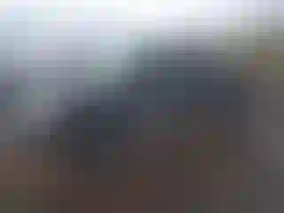 Vehicle Image- 2002 Ford F-250