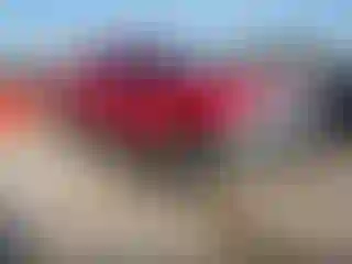 Vehicle Image- 2002 Ford F-250