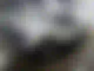 Vehicle Image- 2002 Ford F-250