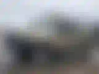 Vehicle Image- 2000 Ford F-250