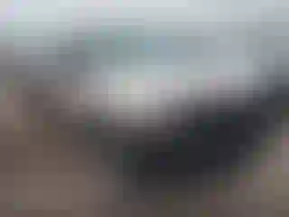 Vehicle Image- 2004 Ford F-250