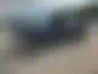 Vehicle Image- 2004 Ford F-250