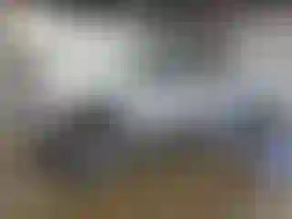 Vehicle Image- 2004 Ford F-250