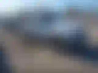 Vehicle Image- 2004 Ford F-250