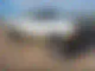 Vehicle Image- 2000 Ford F-250