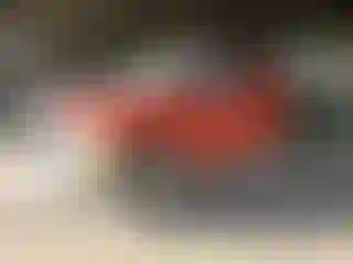 Vehicle Image- 1999 Ford F-250