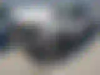 Vehicle Image- 2004 Ford F-250