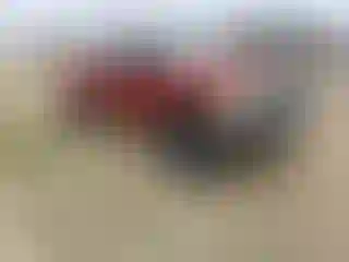 Vehicle Image- 2000 Ford F-250
