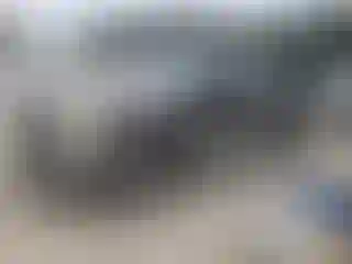 Vehicle Image- 2006 Ford F-150