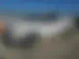 Vehicle Image- 2004 Ford F-150