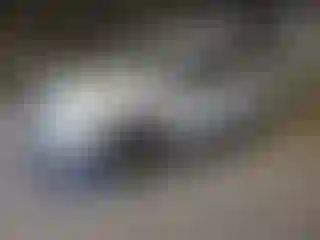 Vehicle Image- 2005 Ford F-150