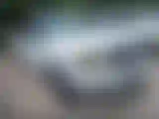 Vehicle Image- 2004 Ford F-150