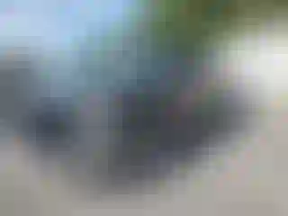 Vehicle Image- 2005 Ford F-150