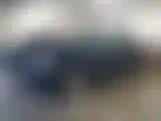 Vehicle Image- 2004 Ford F-150