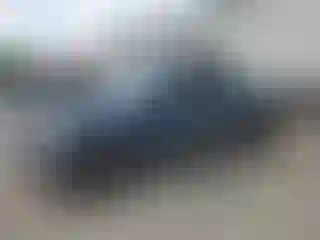 Vehicle Image- 2005 Ford F-150