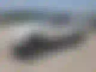 Vehicle Image- 2005 Ford F-150