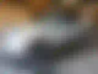 Vehicle Image- 2006 Ford F-150