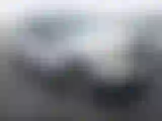 Vehicle Image- 2007 Ford F-150