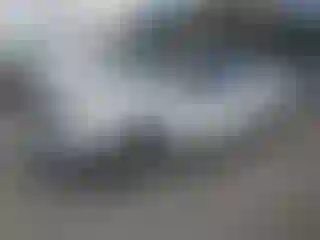 Vehicle Image- 2007 Ford F-150