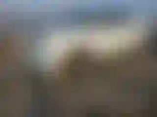 Vehicle Image- 2008 Ford F-150