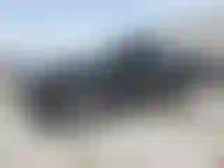 Vehicle Image- 2007 Ford F-150