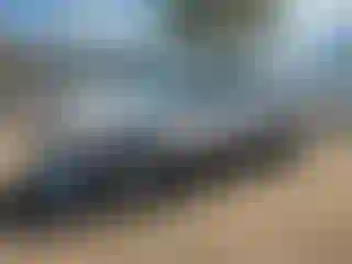 Vehicle Image- 2009 Ford F-150