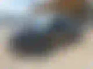 Vehicle Image- 2006 Ford F-150