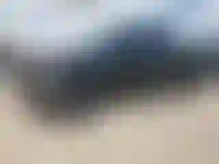 Vehicle Image- 2005 Ford F-150