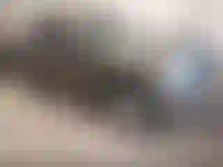 Vehicle Image- 2004 Ford F-150