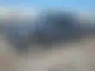 Vehicle Image- 2004 Ford F-150