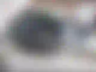 Vehicle Image- 2005 Ford F-150