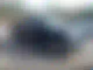 Vehicle Image- 2008 Ford F-150