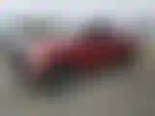 Vehicle Image- 2008 Ford F-150