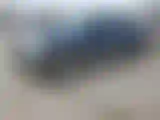 Vehicle Image- 2004 Ford F-150