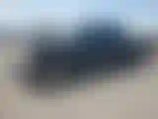 Vehicle Image- 2005 Ford F-150
