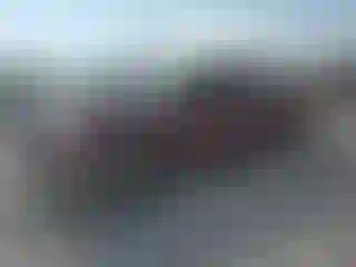 Vehicle Image- 2004 Ford F-150