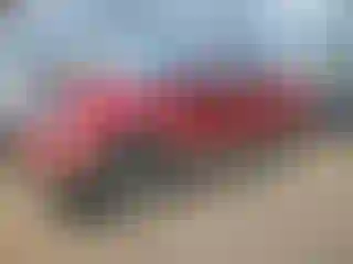 Vehicle Image- 2008 Ford F-150