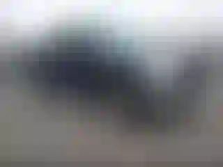 Vehicle Image- 2004 Ford F-150