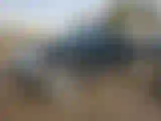 Vehicle Image- 2005 Ford F-150