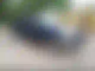 Vehicle Image- 2008 Ford F-150