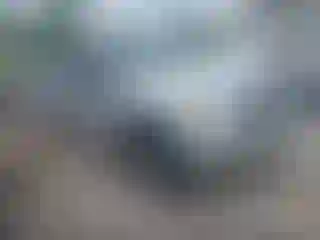 Vehicle Image- 2008 Ford F-150