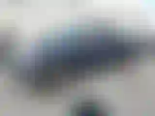 Vehicle Image- 2008 Ford F-150