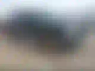 Vehicle Image- 2008 Ford F-150