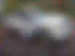 Vehicle Image- 2009 Ford F-150