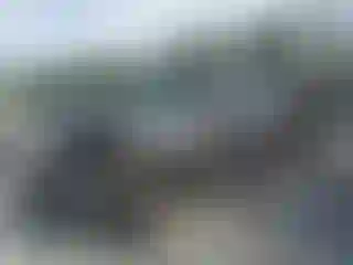 Vehicle Image- 2009 Ford F-150