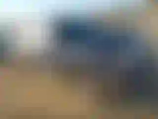 Vehicle Image- 2007 Ford F-150