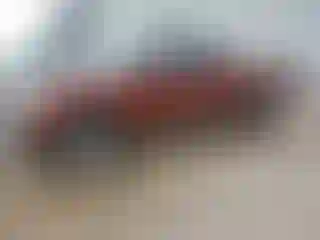 Vehicle Image- 2007 Ford F-150