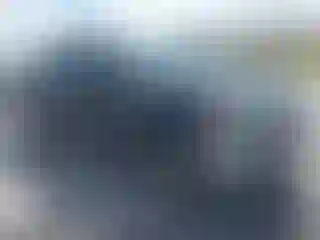 Vehicle Image- 2009 Ford F-150