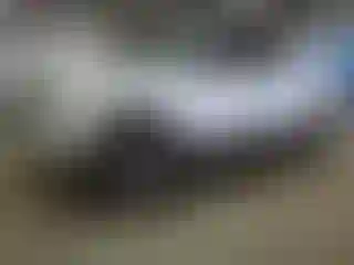 Vehicle Image- 2007 Ford F-150
