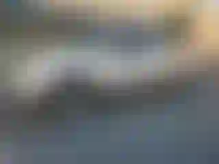 Vehicle Image- 2006 Ford F-150